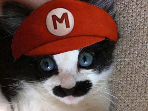 pet-halloween-costume-10